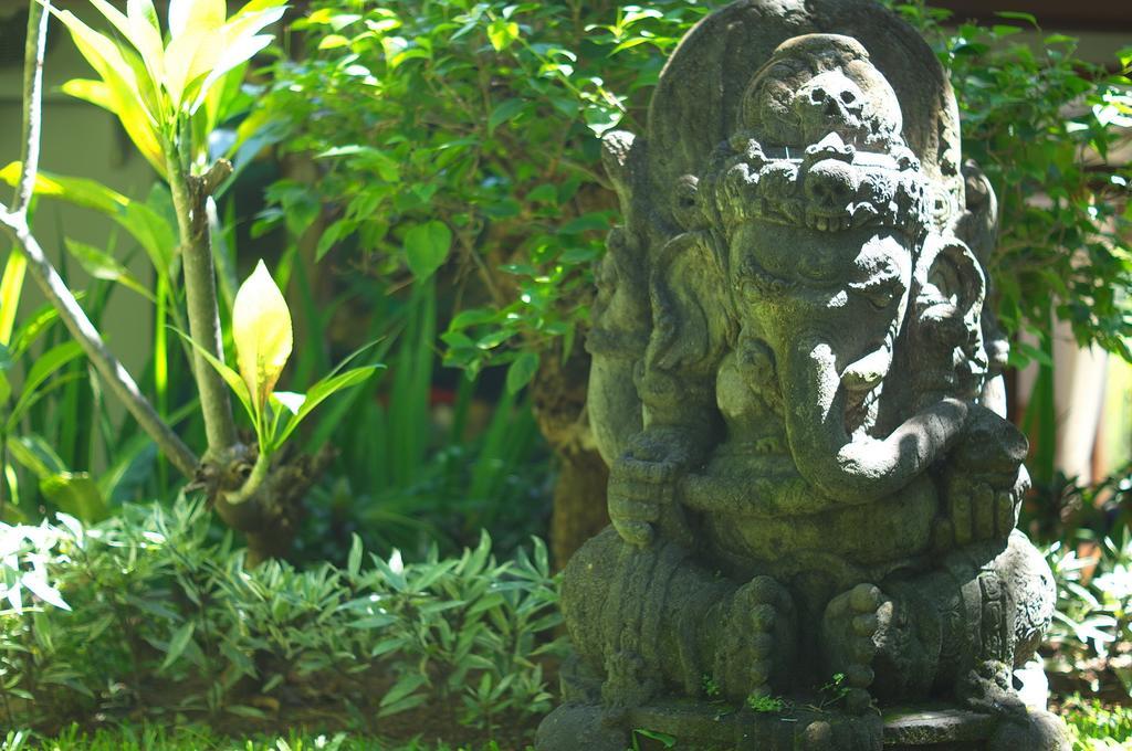 Indo Rumah Zengarden Buleleng  Номер фото