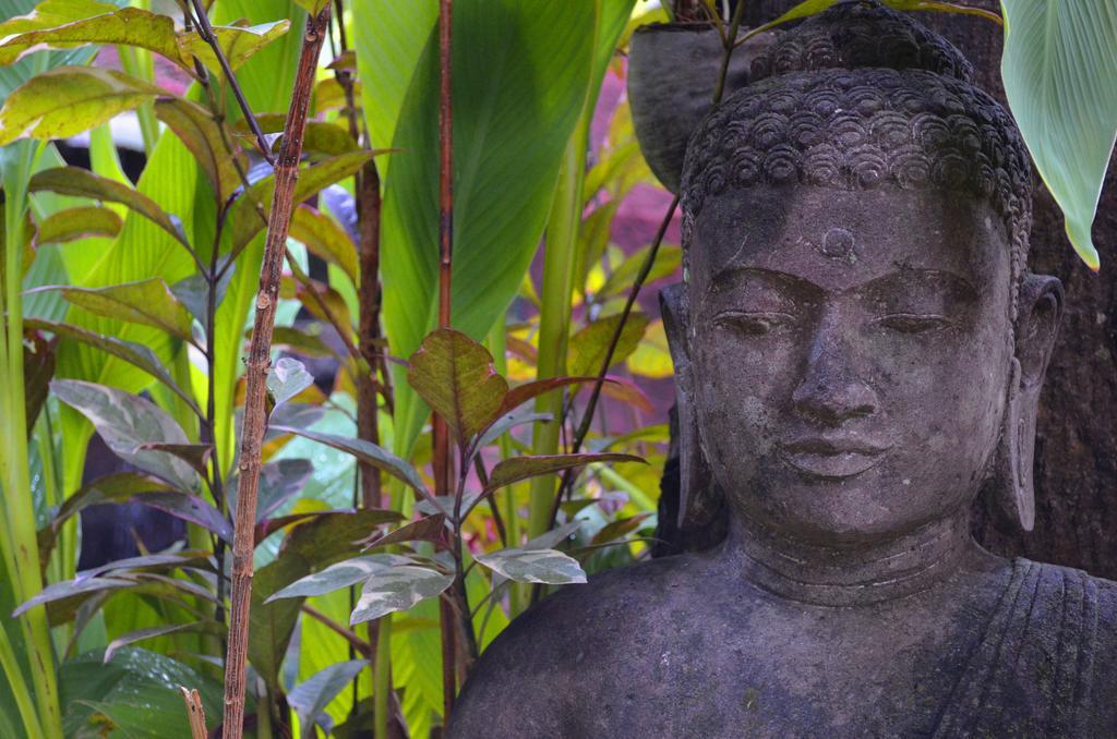 Indo Rumah Zengarden Buleleng  Екстер'єр фото